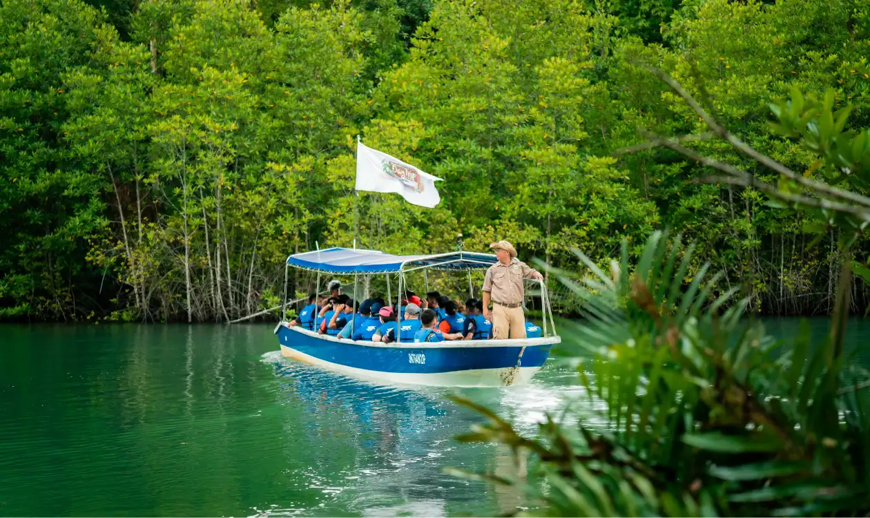 river cruise alone kawa-kawa wetland