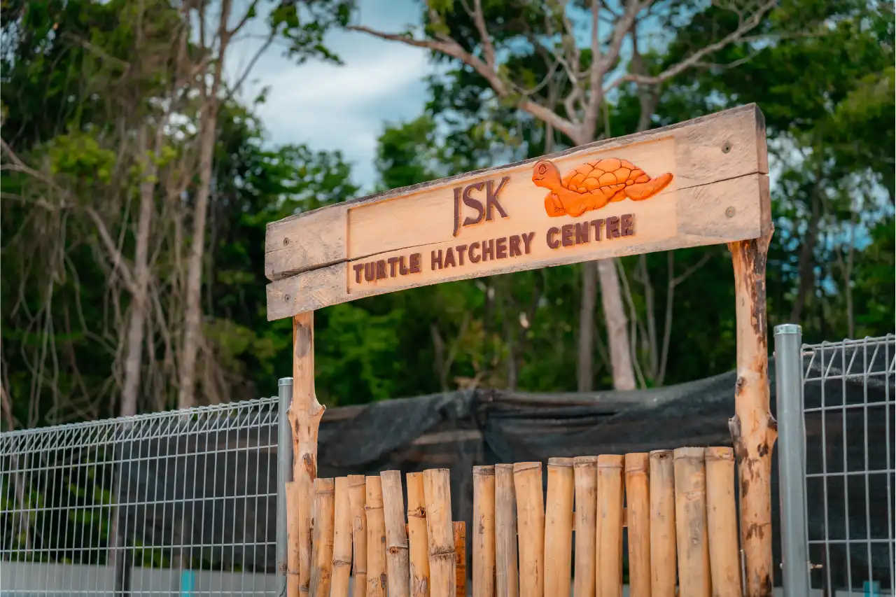 Turtle Hatchery Center